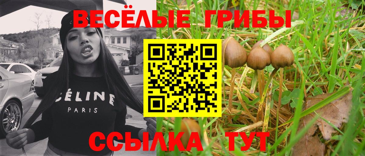 Псилоцибиновые грибы мухоморы  цены наркотик  Рославль  Вход с VPN 