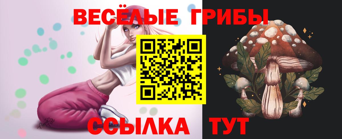 Галлюциногенные грибы Cubensis Рославль